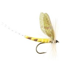 Wholesale Fishing Flies Per Dozen | Premium Trout & Bass Flies. Kenya Fishing Flies.