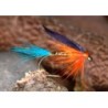 Wholesale Fishing Flies Per Dozen | Premium Trout & Bass Flies. Kenya Fishing Flies.